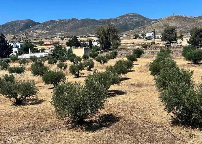 Olive House Εξοχικό σπίτι