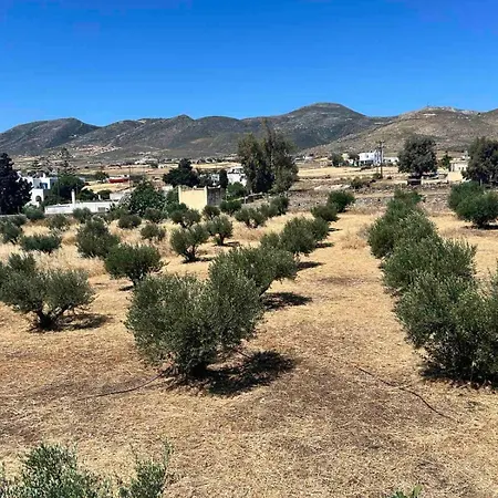 Olive House Séjour à la campagne