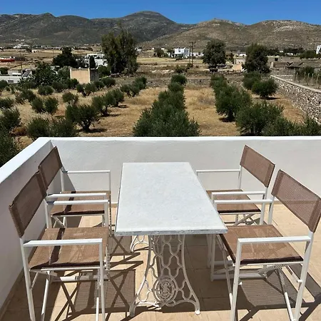 Séjour à la campagne Olive House *